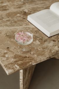 Kaboompics - Glass Coupe with Floating Pink Petals and Open Book on Marble