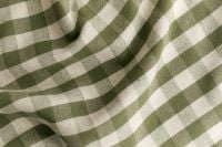 Kaboompics - Green Gingham Fabric Textile Texture Close Up