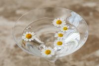 Kaboompics - White Daisies Floating in Glass Coupe on Marble Table
