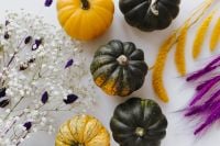 Kaboompics - Mini Pumpkins With Dried Flowers on White Background