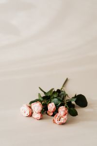 Kaboompics - Pink Roses and Greenery on Beige Surface with Copy Space