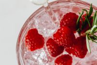 Kaboompics - Raspberry Cocktail Macro With Rosemary