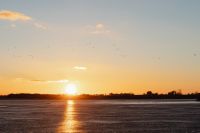 Kaboompics - Birds in Flight above a Golden Winter Lake Sunset