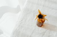 Kaboompics - Dried Sunflower and Baby's Breath in Amber Glass for Neutral Floral Styling