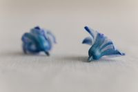 Kaboompics - Selective Focus on Fallen Blue Hyacinth Blossoms