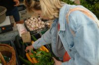Kaboompics - Woman Selecting Carrots and Fresh Greens