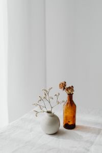 Kaboompics - Dried Flower Arrangements in Amber and Ceramic Vases for Neutral Home Decor