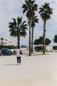 Kaboompics - Palm Trees Along the Mediterranean Marina