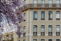 Kaboompics - Ornate Gray Lisbon Facade and Wrought Iron Balconies Framed by Jacaranda Blossoms