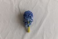 Kaboompics - Two Blue Hyacinth Blossoms Resting on Wrinkled Linen