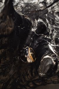 Kaboompics - Gold Ring on Black Driftwood