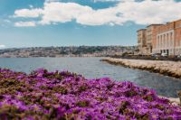 Kaboompics - Purple Flower-Covered Naples Waterfront With Bay View