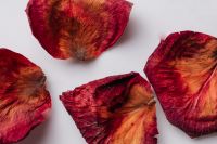 Kaboompics - Dried rose