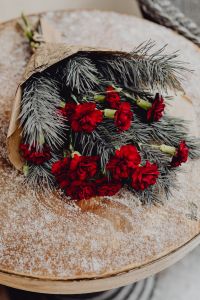 Kaboompics - Winter bouquet with red carnations and pine