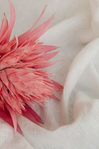 Kaboompics - Close-Up of Creased White Linen Textile