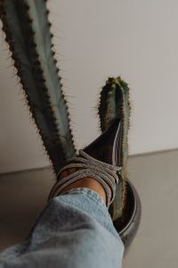 Kaboompics - Black Embellished Stilettos and Jeans Styled Beside a Cactus