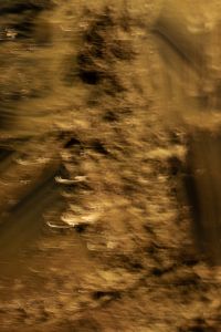 Kaboompics - Vertical Brush-Like Gold and Brown Light Strokes, Abstract Motion Blur Background