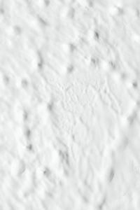 Kaboompics - Close-Up of White Textured Paint with Small Gray Pits and Diagonal Raised Marks