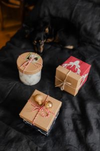 Kaboompics - Vertical Holiday Flat Lay with Small Dog and Gift Boxes