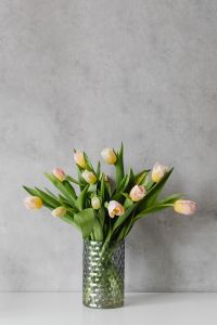 Kaboompics - Tulip Buds on Gray Plaster Texture for Minimal Spring Wallpaper Design