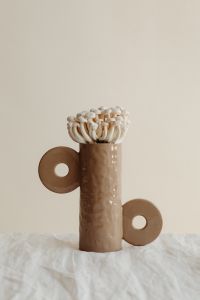 Neutral Mushroom Still Life with Grapes, Bark and Jewelry