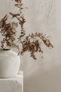 Kaboompics - Dried Fern Foliage with White Ceramic Vase and Copy Space