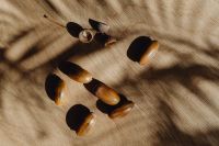 Kaboompics - Acorns on Beige Fabric with Palm Leaf Shadows