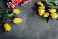 Kaboompics - Yellow Tulips and Pink Flowers Framing Copy Space