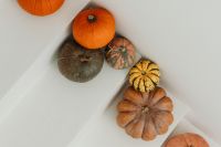 Kaboompics - Autumn Pumpkin Arrangement with Copy Space
