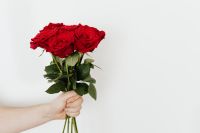 Kaboompics - Hand Holding a Bouquet of Red Roses on White Background