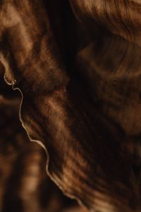 Kaboompics - Curled Edge of a Dried Banana Leaf in Deep Shadow