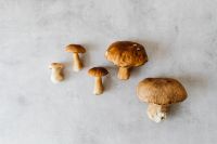 Kaboompics - Assorted Wild Mushrooms on Gray Textured Background
