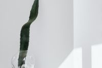 Kaboompics - Close-Up Of Agave Leaf And Glass Vase With Bright Window Shadows