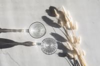 Kaboompics - Water Glasses and Dried Flowers Casting Shadows on a White Surface