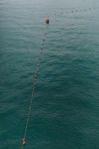 Kaboompics - Buoy Line Floating across Blue-Green Seawater