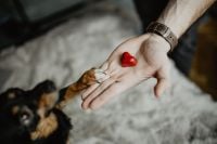 Small treat for a cute dog