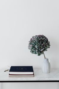 Kaboompics - Black Book and Hydrangea in Striped Pitcher, White Background