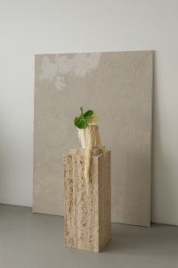 Kaboompics - Minimalist Interior with Green Plant on Travertine Pedestal and Artwork