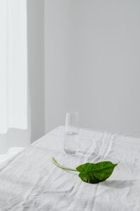Kaboompics - Fallen Alocasia Leaf Beside an Empty Glass Vase