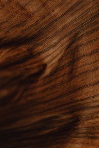 Kaboompics - Diagonal Ridges on a Dried Banana Leaf