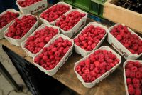 Kaboompics - Raspberries, Cherries and Blackberries at a Farmers Market