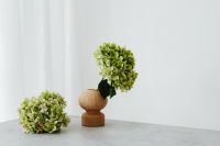 Kaboompics - Green Hydrangea Floral Background