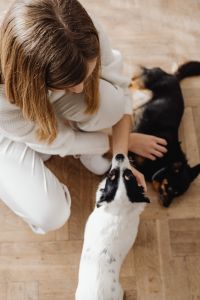 Kaboompics - Woman Playing with Two Small Dogs on Floor
