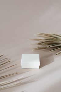 Kaboompics - Minimal White Box Mockup on Beige Background with Dried Palm Leaves and Copy Space