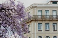Kaboompics - Historic Lisbon Tiled Facade with Continuous Iron Balcony and Jacaranda Tree