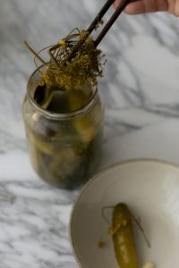 Kaboompics - Dill Flowers Held above an Open Pickle Jar on Marble Counter