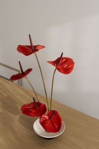 Kaboompics - Red Anthurium Ikebana Flower Arrangement