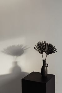 Kaboompics - Black Ceramic Vase with Dried Palm Leaves and Cast Shadow, Neutral Wall Copy Space