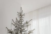 Kaboompics - Upper Christmas Tree Branches by a Bright Window