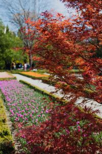 Kaboompics - Real Jardin Botanico, Madrid, Spain